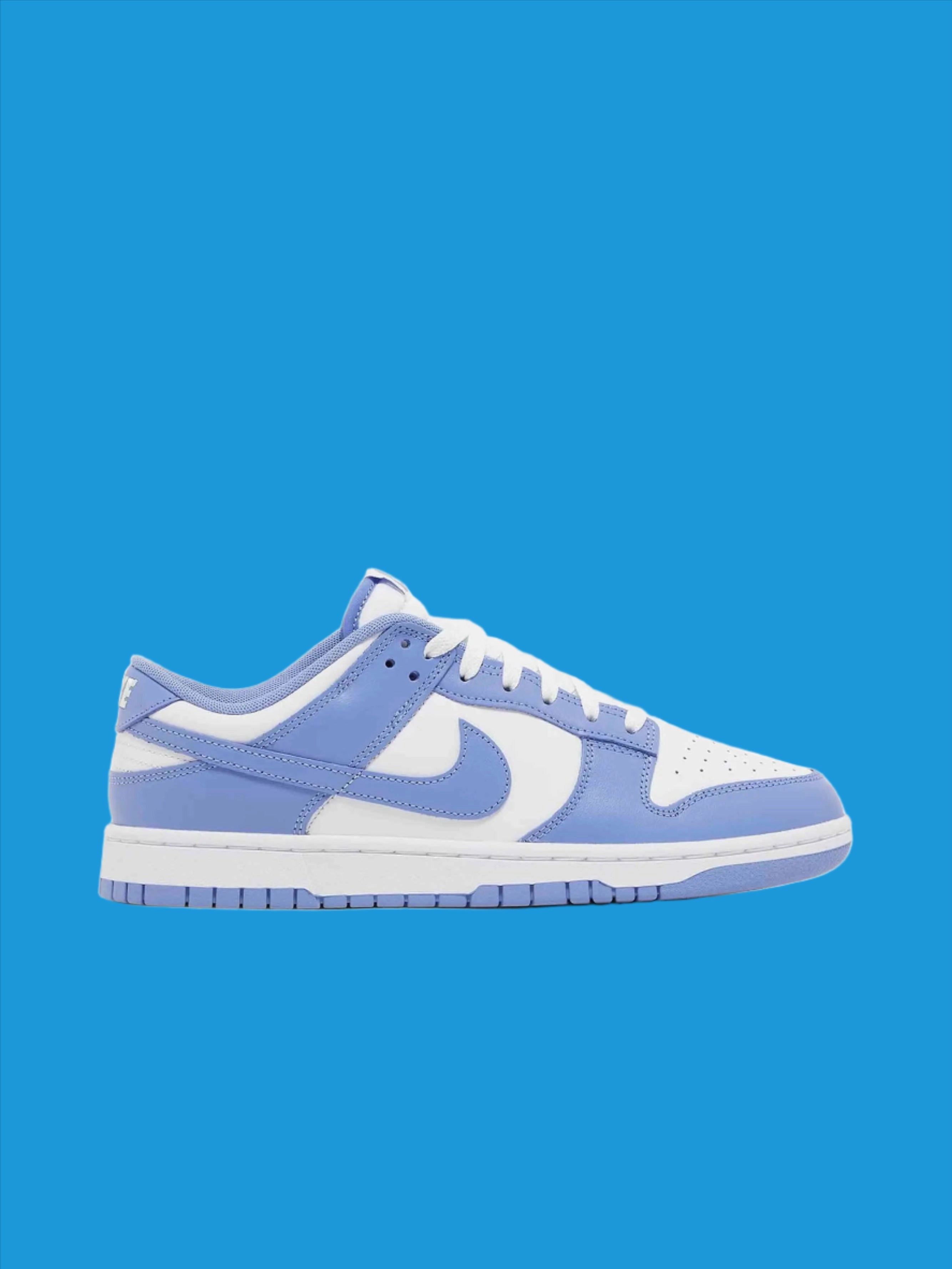 Nike Dunk Low Polar Blue Racing performance Enhanced grip