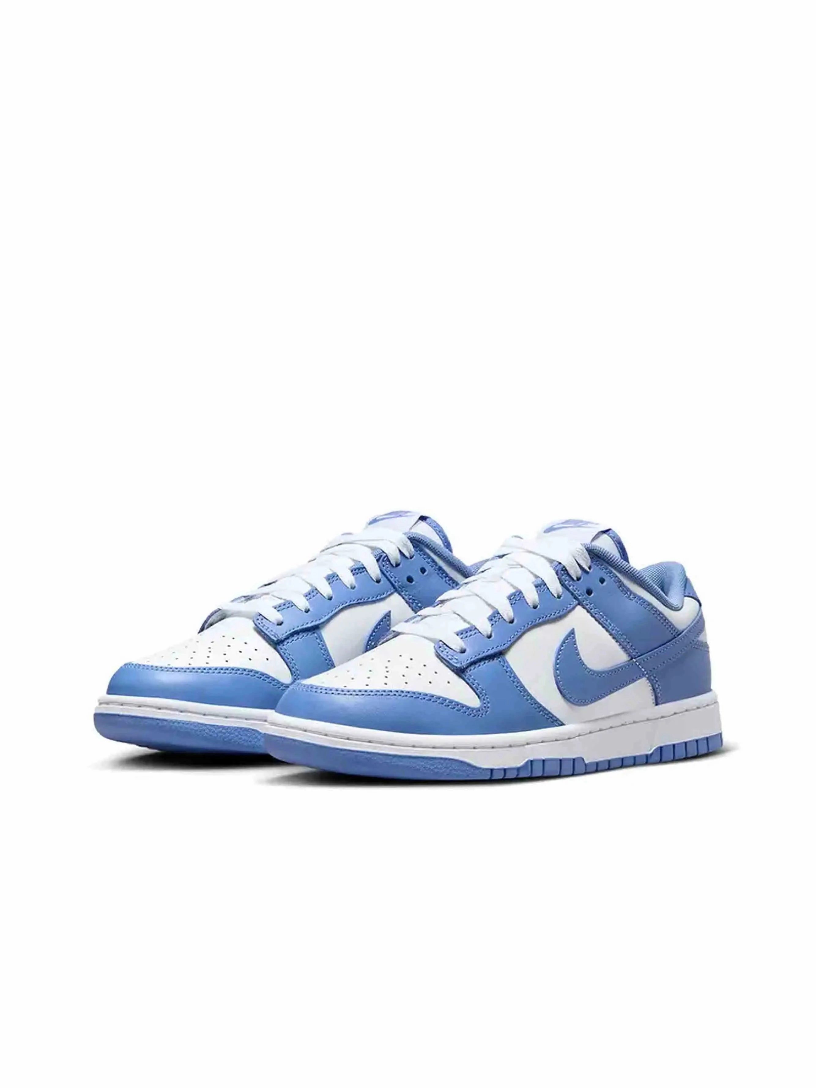 Flexible Ride outdoor - running Nike Dunk Low Polar Blue