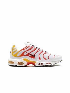Nike Air Max Plus TN Sunburn (2022) Dry running for training shoes