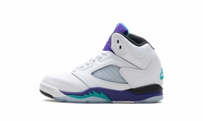 campus adult satisfaction Air Jordan 5 Retro PS "Grape"