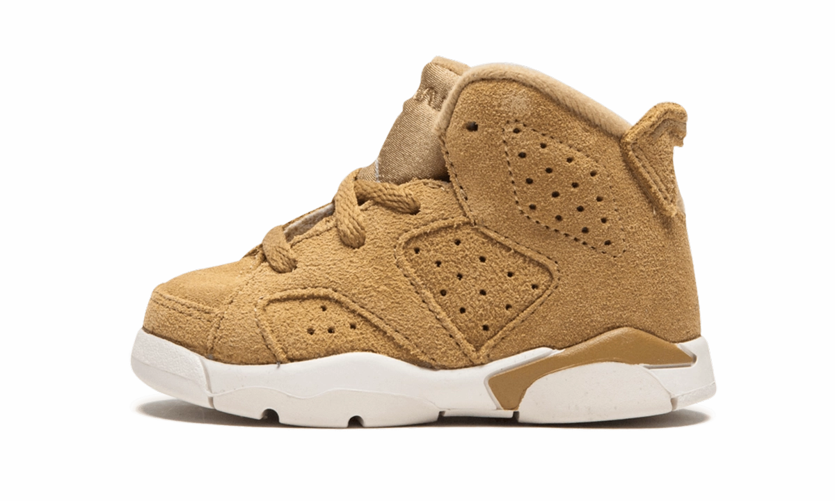 Active Comfort Jordan 6 Retro BT TD "Wheat"