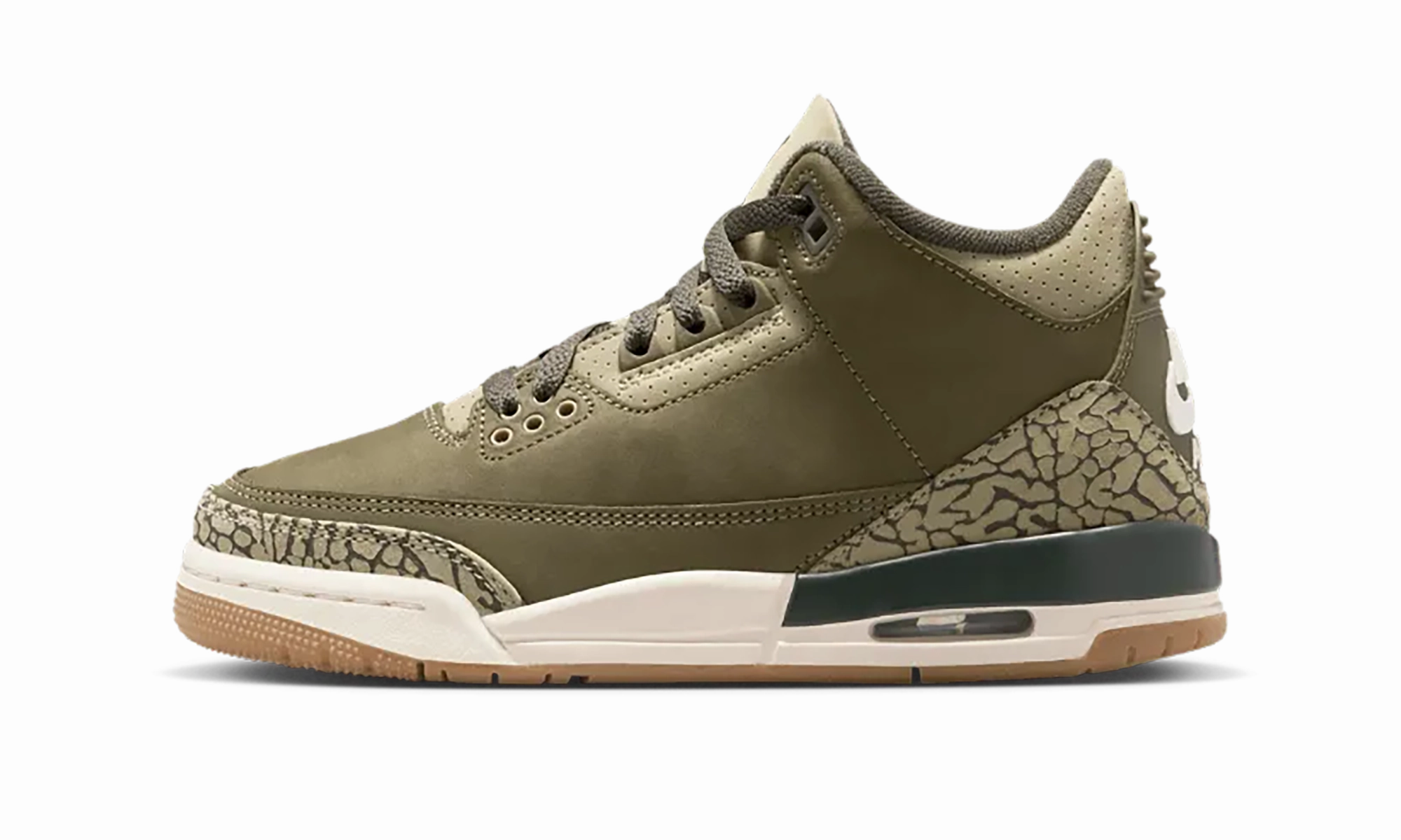 Dynamic silhouette Air Jordan 3 TD "Family Affair"