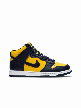 Nike Dunk High Michigan (2020) multi - color shoes value - for - money shoes