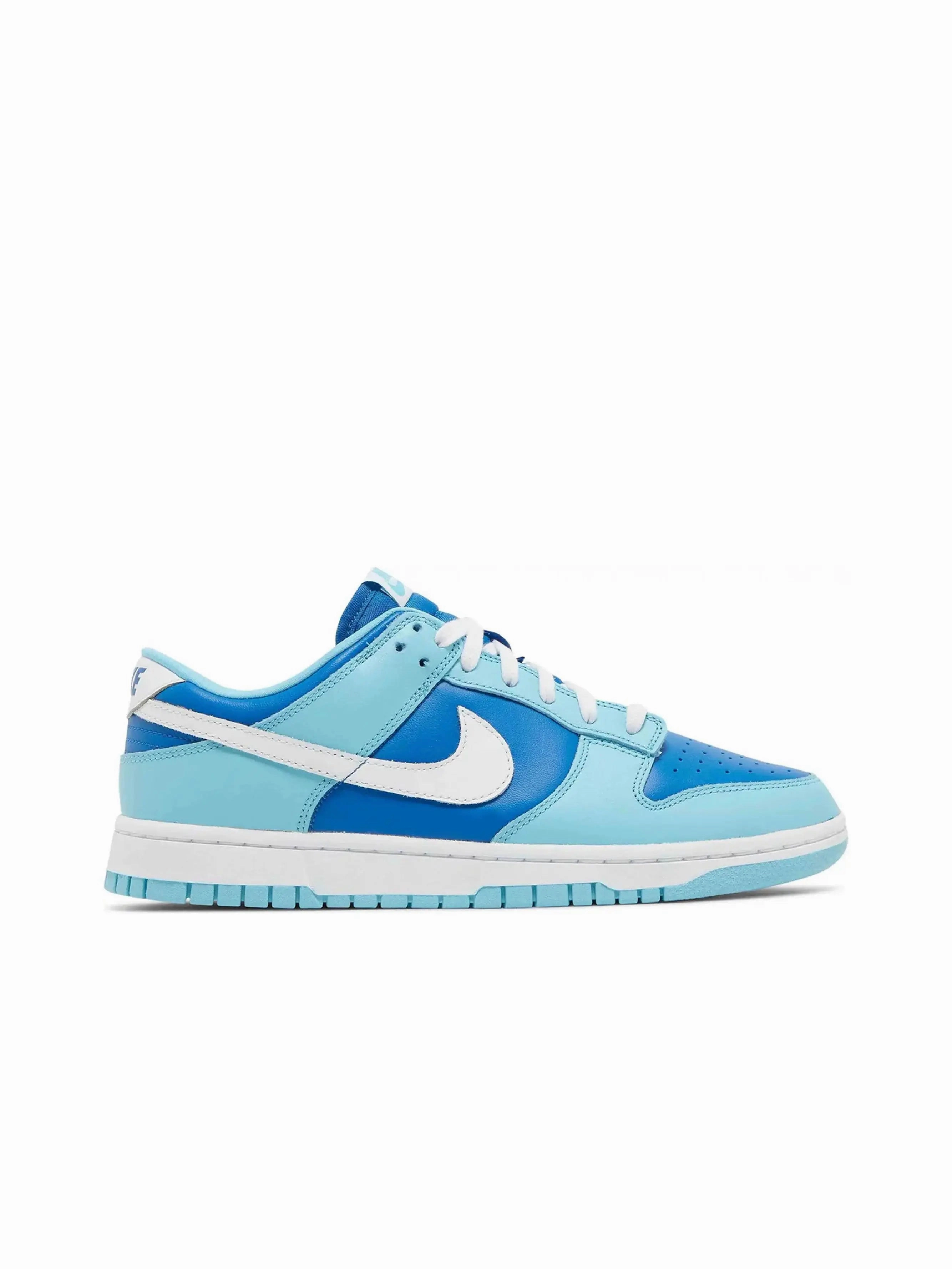 Nike Dunk Low Retro QS Argon (2022) group running shoes