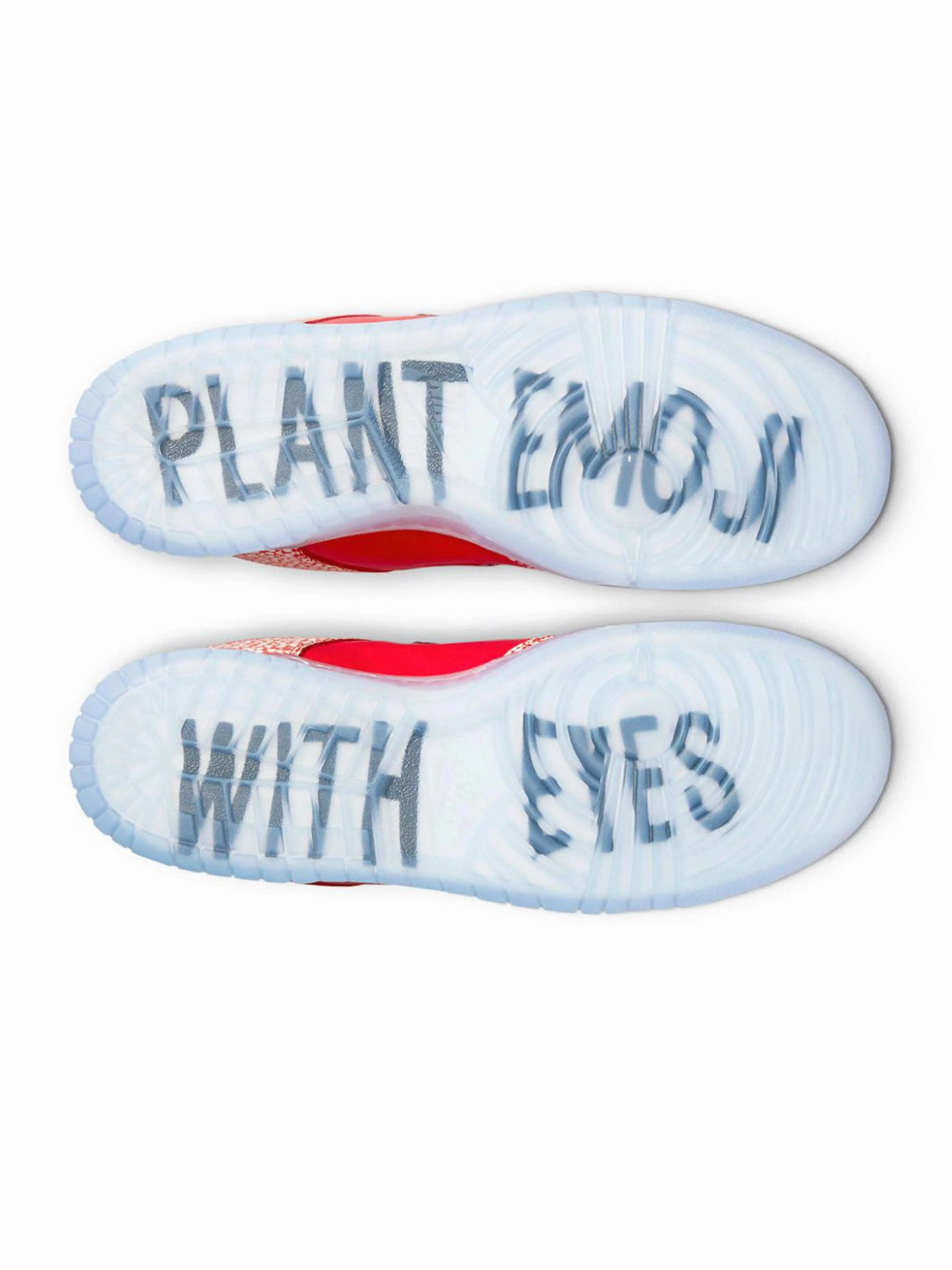 Nike SB Dunk Low Stingwater Magic Mushroom training support