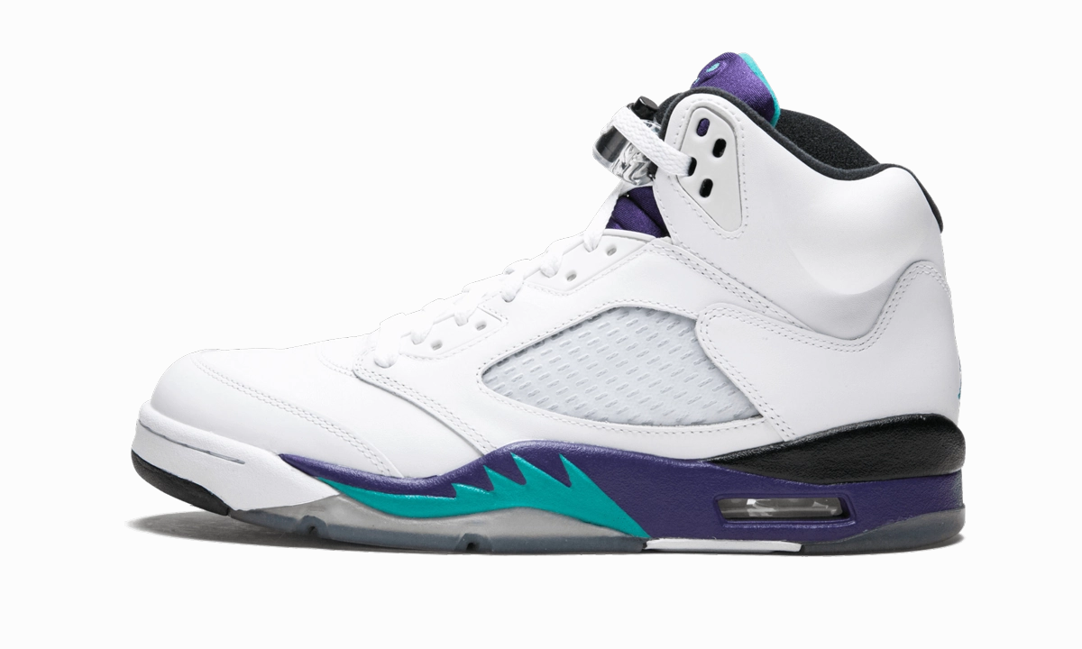 goal - setting Air Jordan 5 Retro "Grape (2013)"