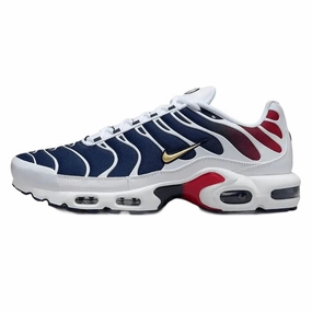 running in a butte area shoes Nike Air Max Plus PSG