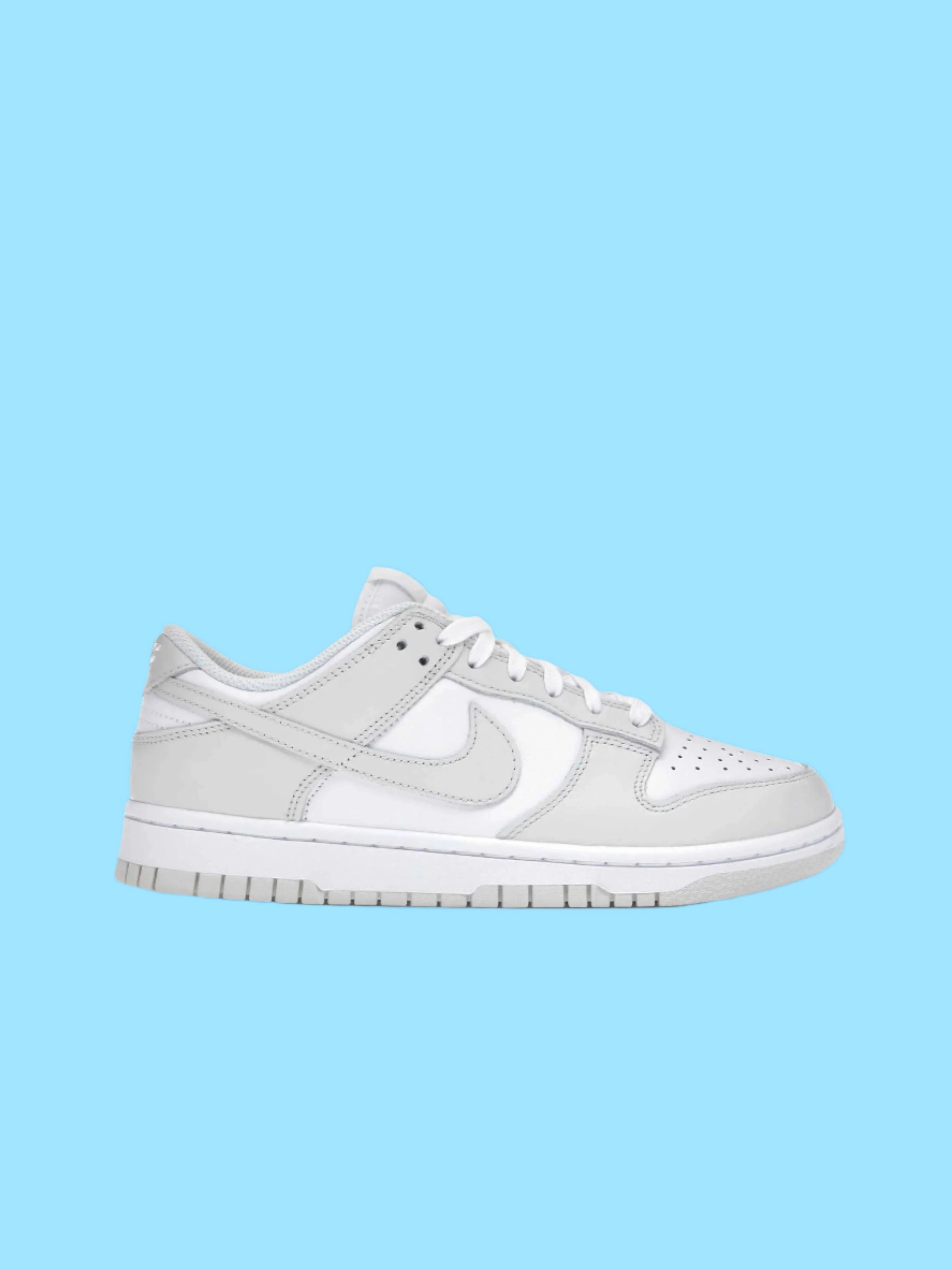 Nike Dunk Low Photon Dust (W) Road