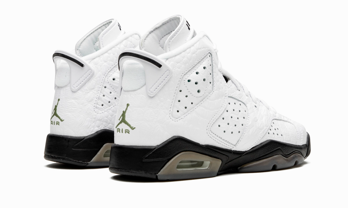 gradient water - proof Air Jordan 6 Retro GS "Alligator"