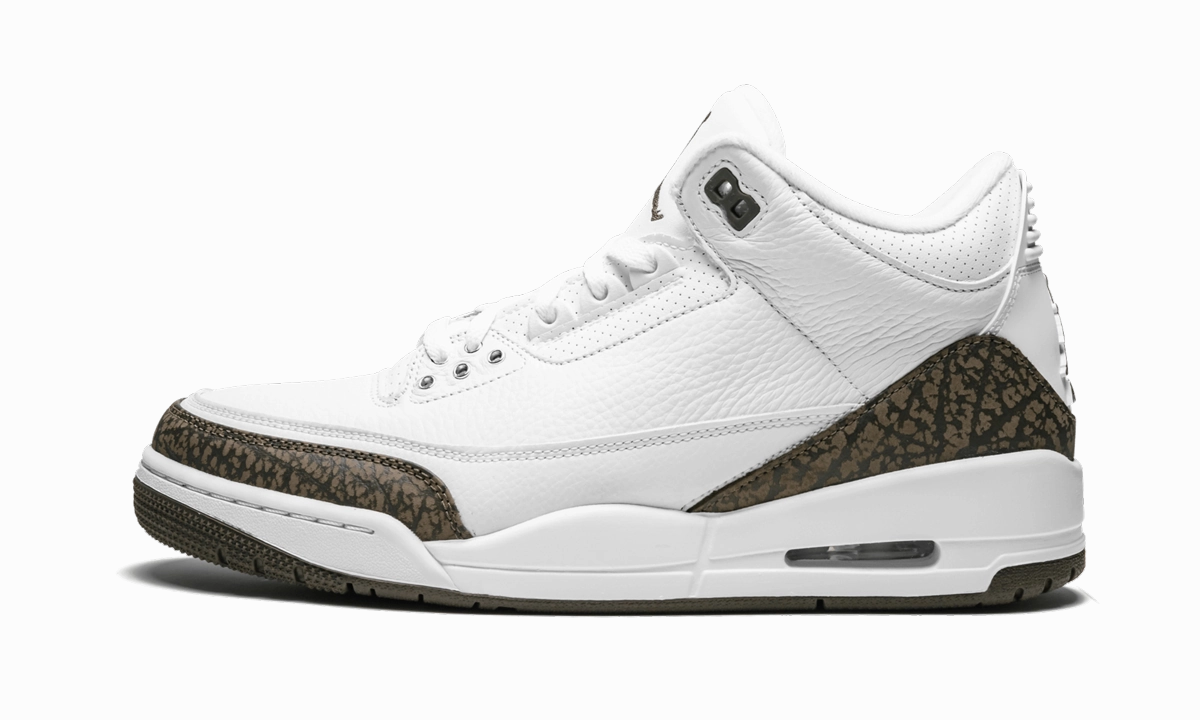 Fashion-Forward Look Air Jordan 3 Retro "Mocha"