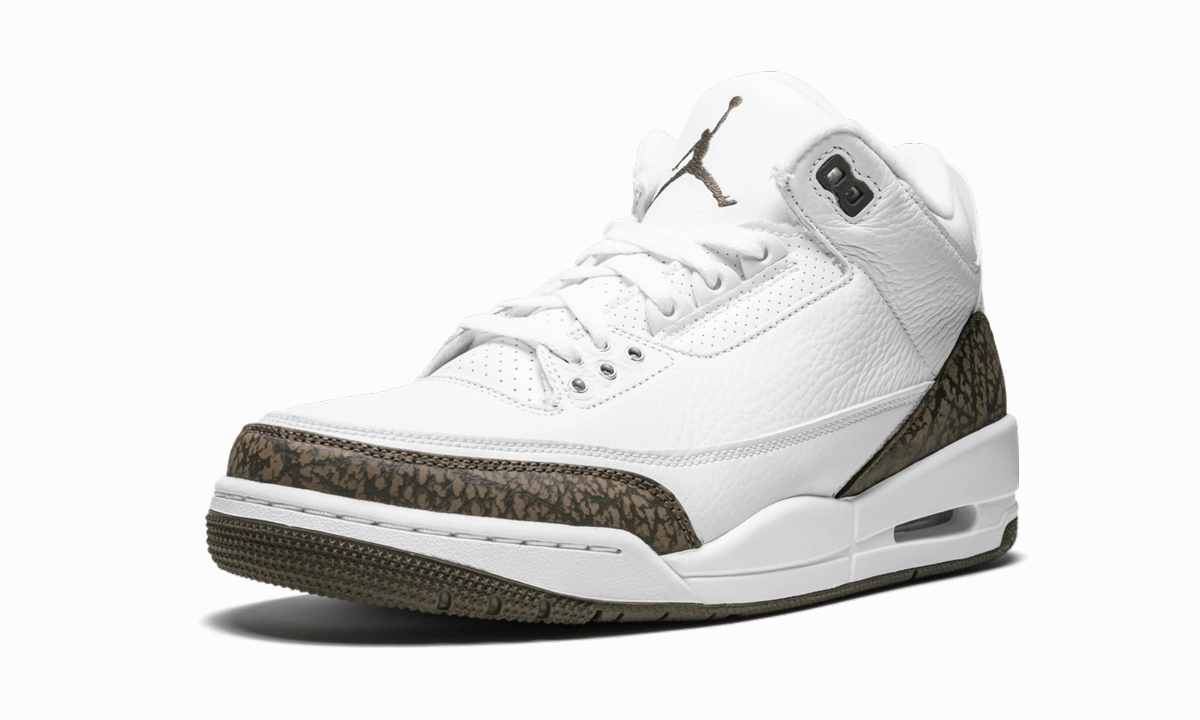 Air Jordan 3 Retro "Mocha" Adaptive Style